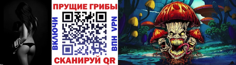 Галлюциногенные грибы Magic Shrooms  Санкт-Петербург 